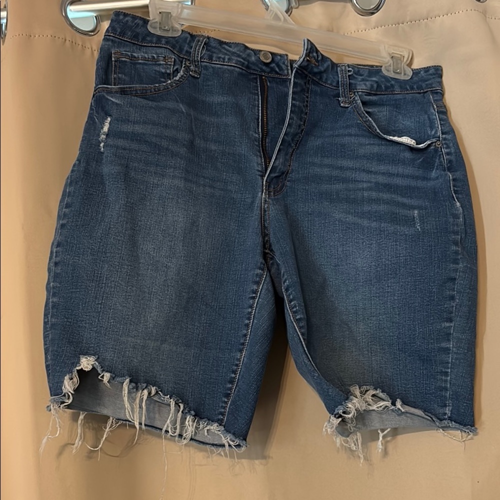 Time and Tru Blue High Rise Denim Shorts